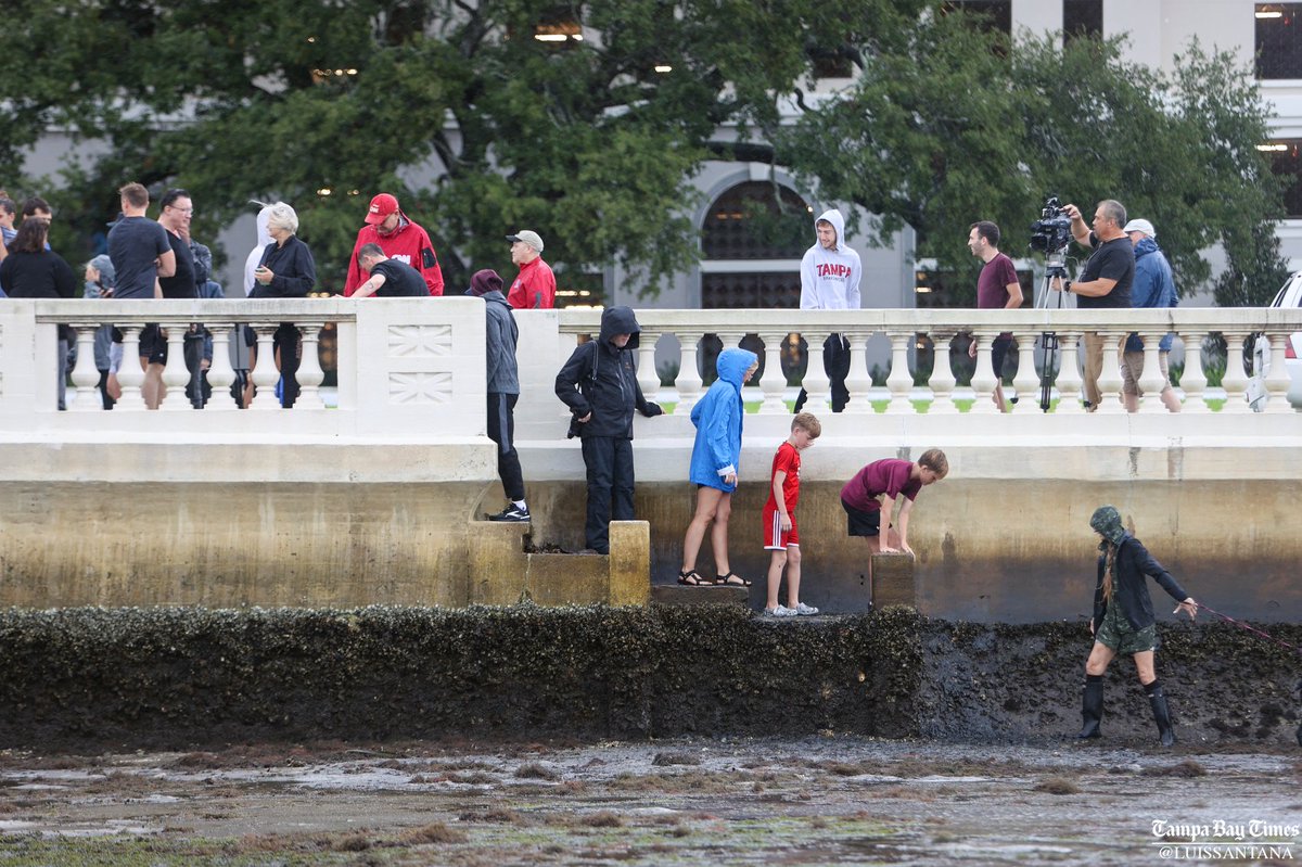 Winds from HurricaneIan have created a reverse storm surge along Bayshore blvd. in Tampa and dozens of people have stepped out into the sand to document this unusual event