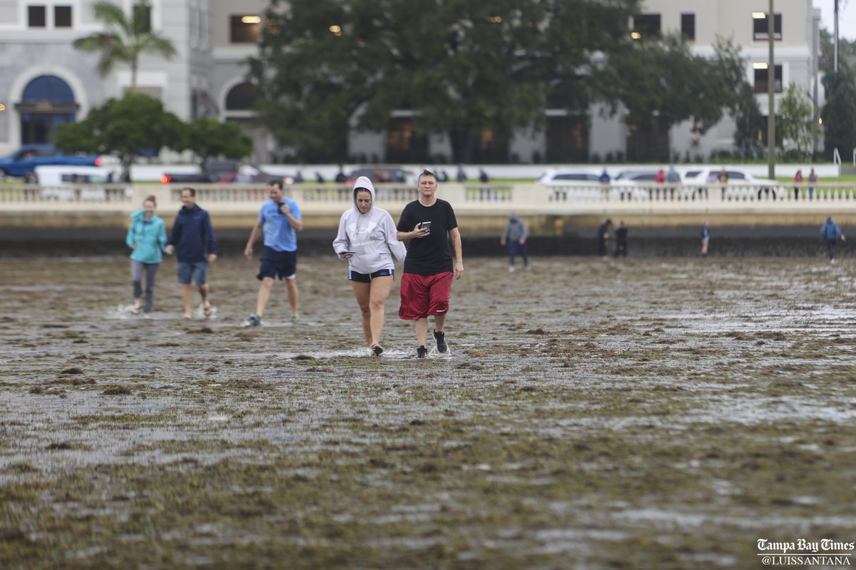 Winds from HurricaneIan have created a reverse storm surge along Bayshore blvd. in Tampa and dozens of people have stepped out into the sand to document this unusual event