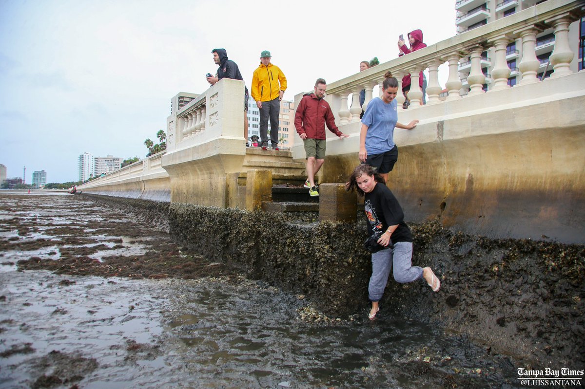 Winds from HurricaneIan have created a reverse storm surge along Bayshore blvd. in Tampa and dozens of people have stepped out into the sand to document this unusual event