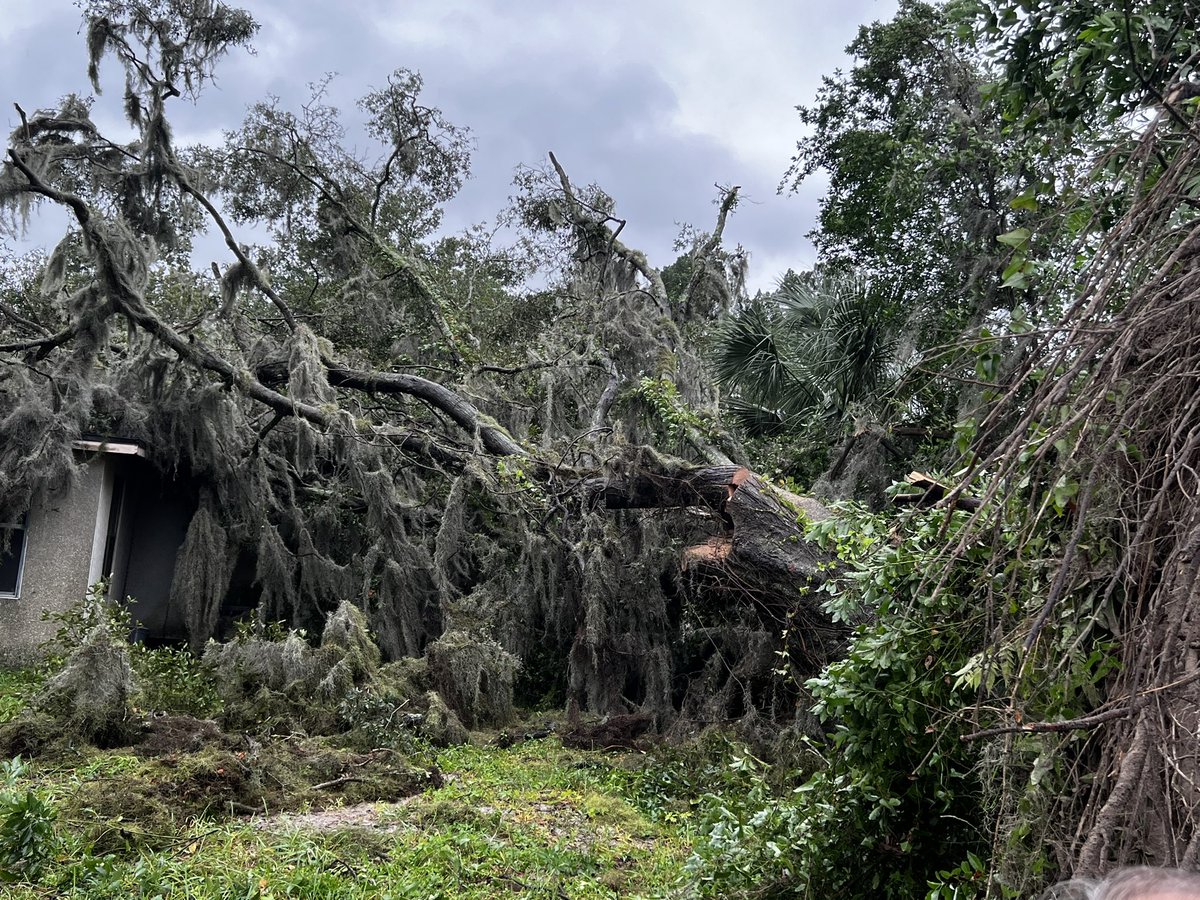 A  oak tree fell on a house near Moncrief Creek off Norwood Ave.  