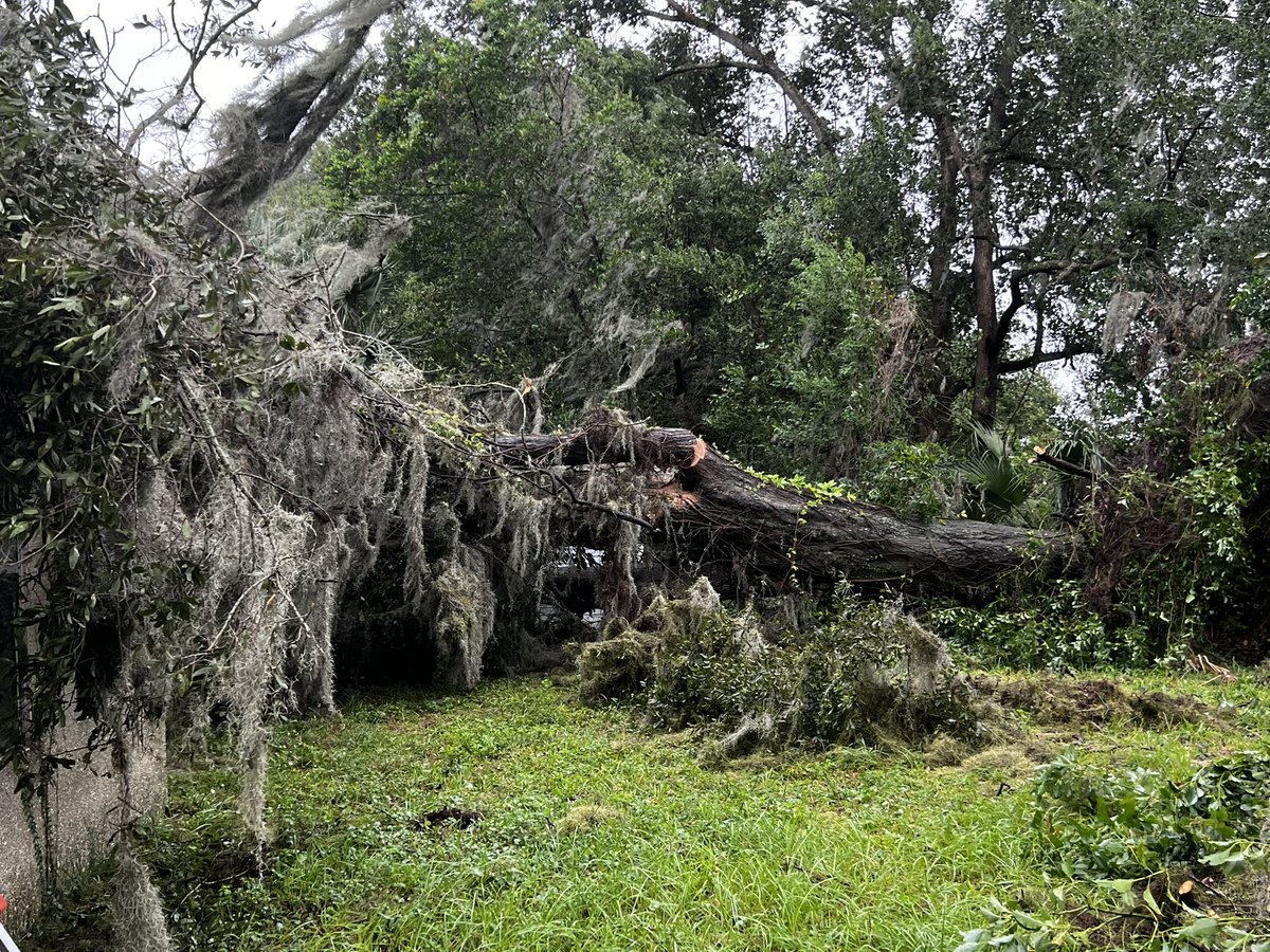 A  oak tree fell on a house near Moncrief Creek off Norwood Ave.  