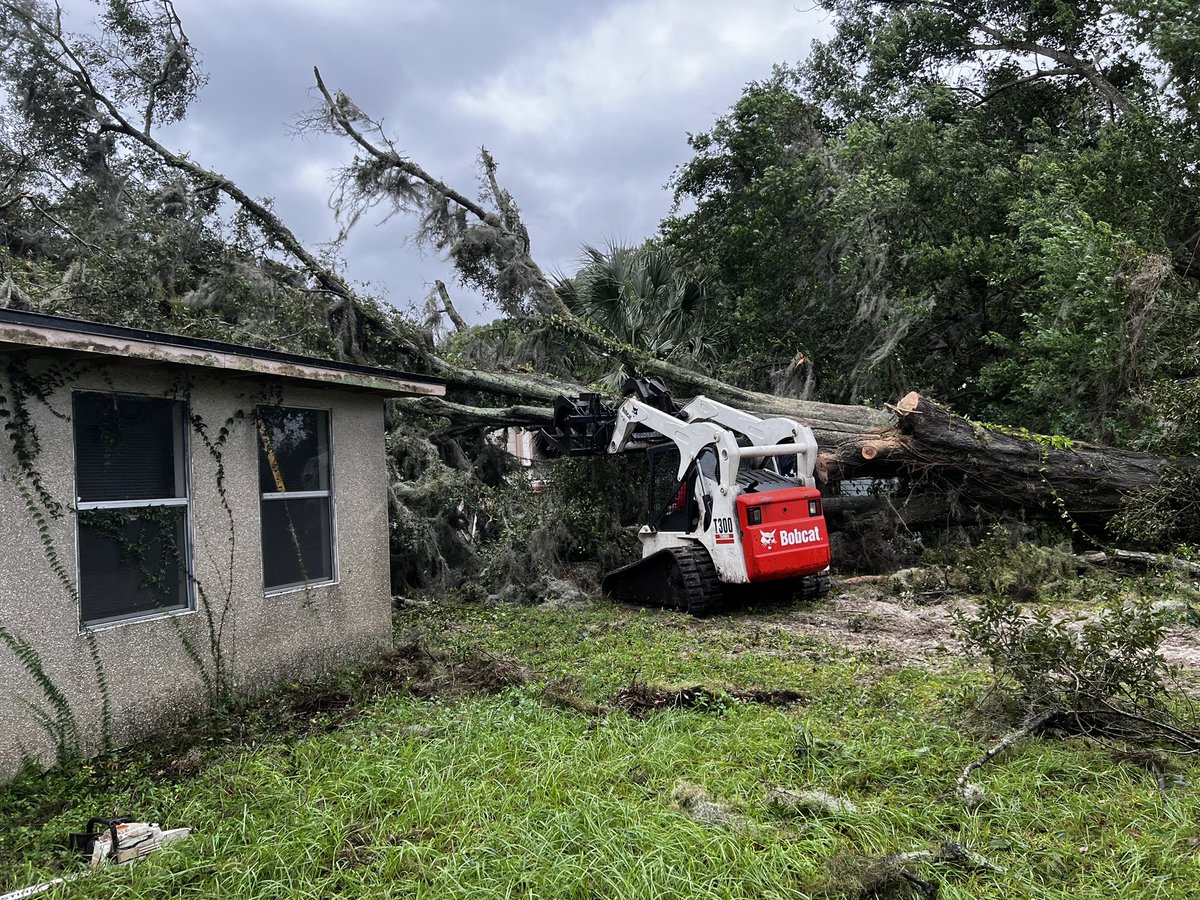 A  oak tree fell on a house near Moncrief Creek off Norwood Ave.  