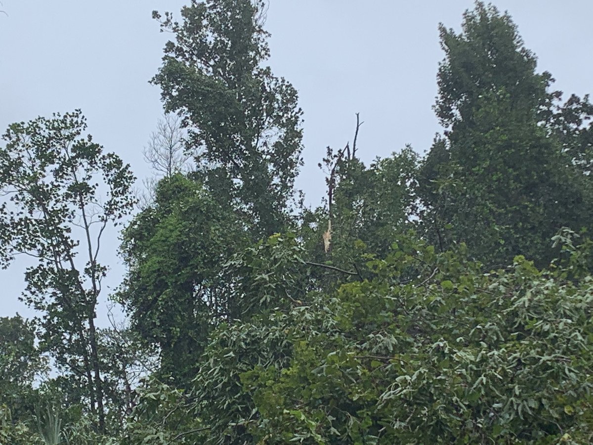 This is an area in Seminole County that sends water to the Little Wekiva River. There is no where for water to go as these homes are now in danger of flooding. Making my way to the actual river now 