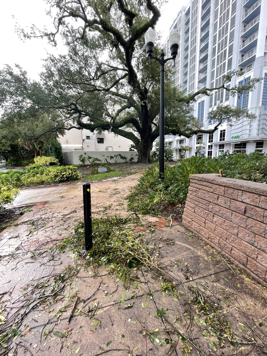 Stepped outside for a second to check out Lake Eola.  The sidewalks are totally underwater off E Central Blvd, but the street isn't flooded yet