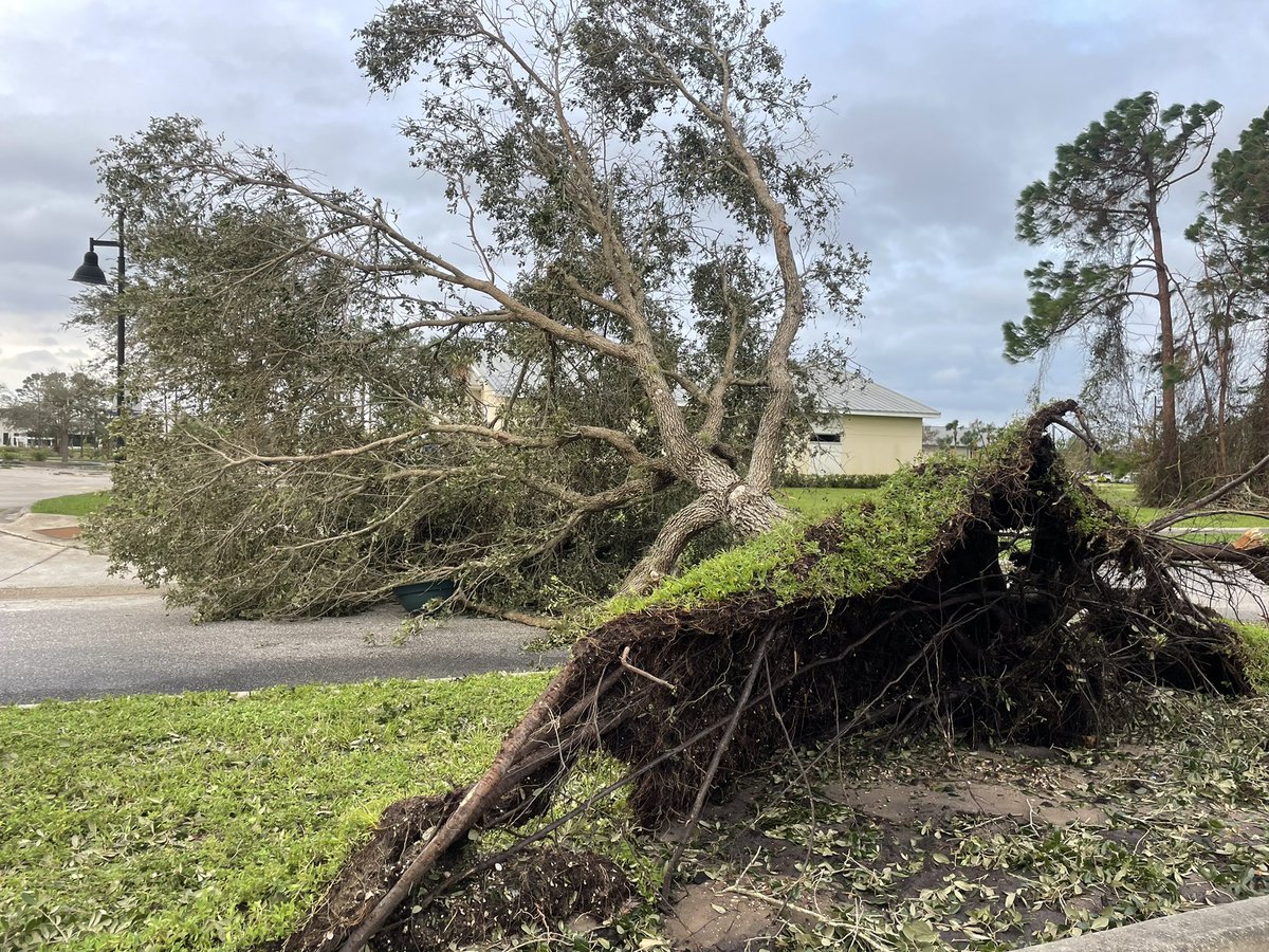 NORTH PORT   Lots of flooding, trees down & power outages