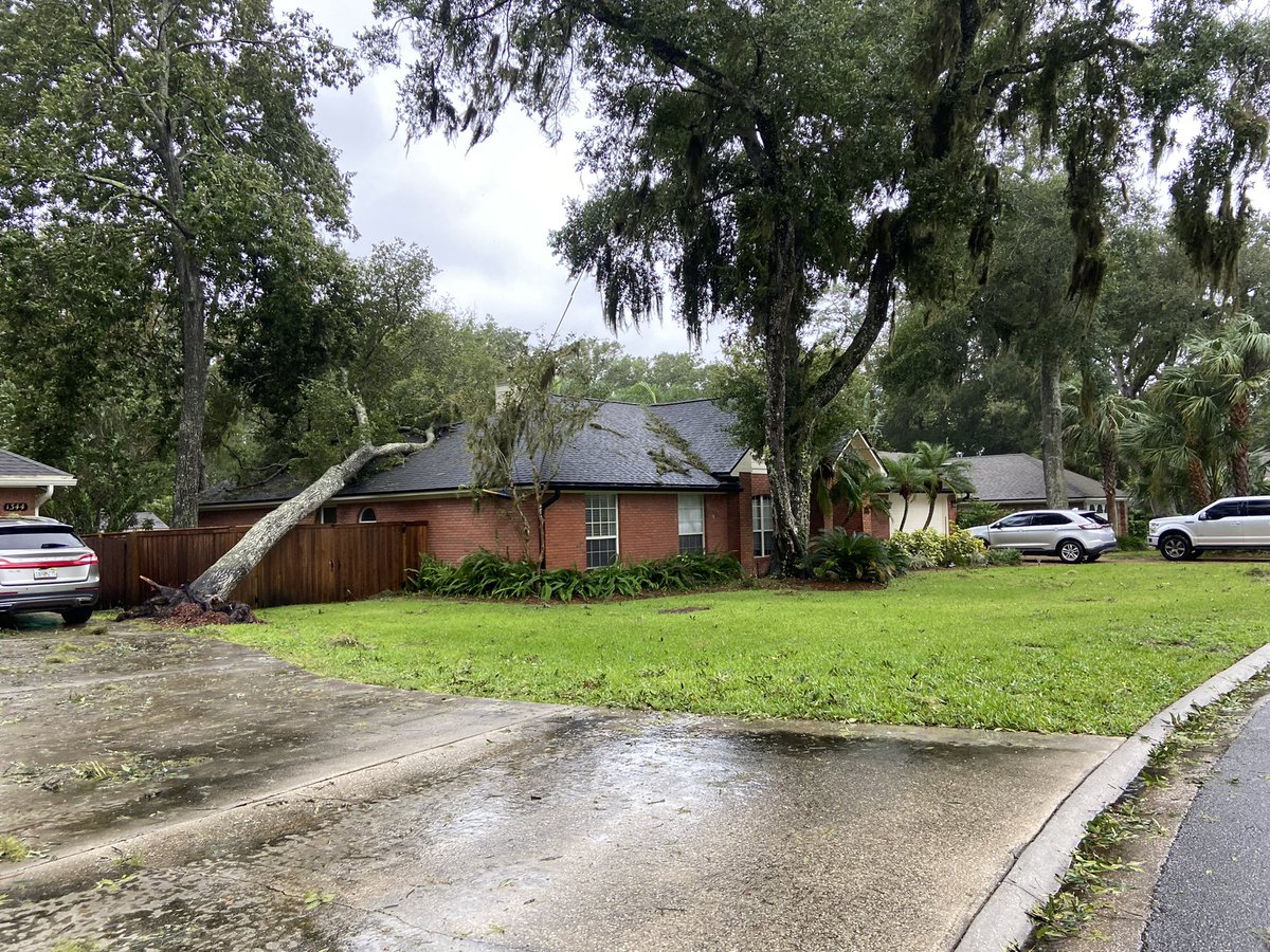 Tree uprooted, falling onto someone's home. This is on Willow Oaks Dr. not far from the Jax Beach golf course