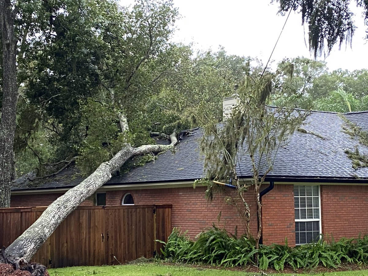 Tree uprooted, falling onto someone's home. This is on Willow Oaks Dr. not far from the Jax Beach golf course  