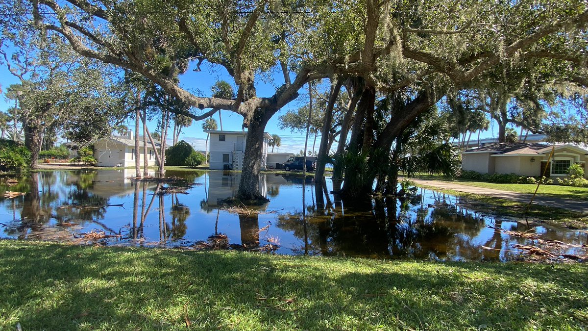 Flagler Beach. This is off Lambert Avenue. A woman's home was flooded and she spent the morning pulling up her floors. The road sits high so the water filled many driveways. Smith creek is right behind this road