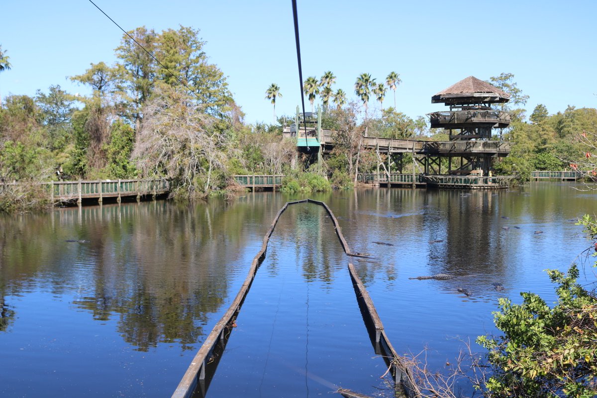 Got a look inside @Gatorland following the horrible flooding from Hurricane Ian. Much of the park was underwater - but now the cleanup is underway. Park says they hope to open on Oct. 15