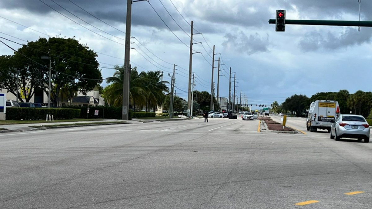 Deadly crash involving vehicle and pedestrian in West Palm Beach