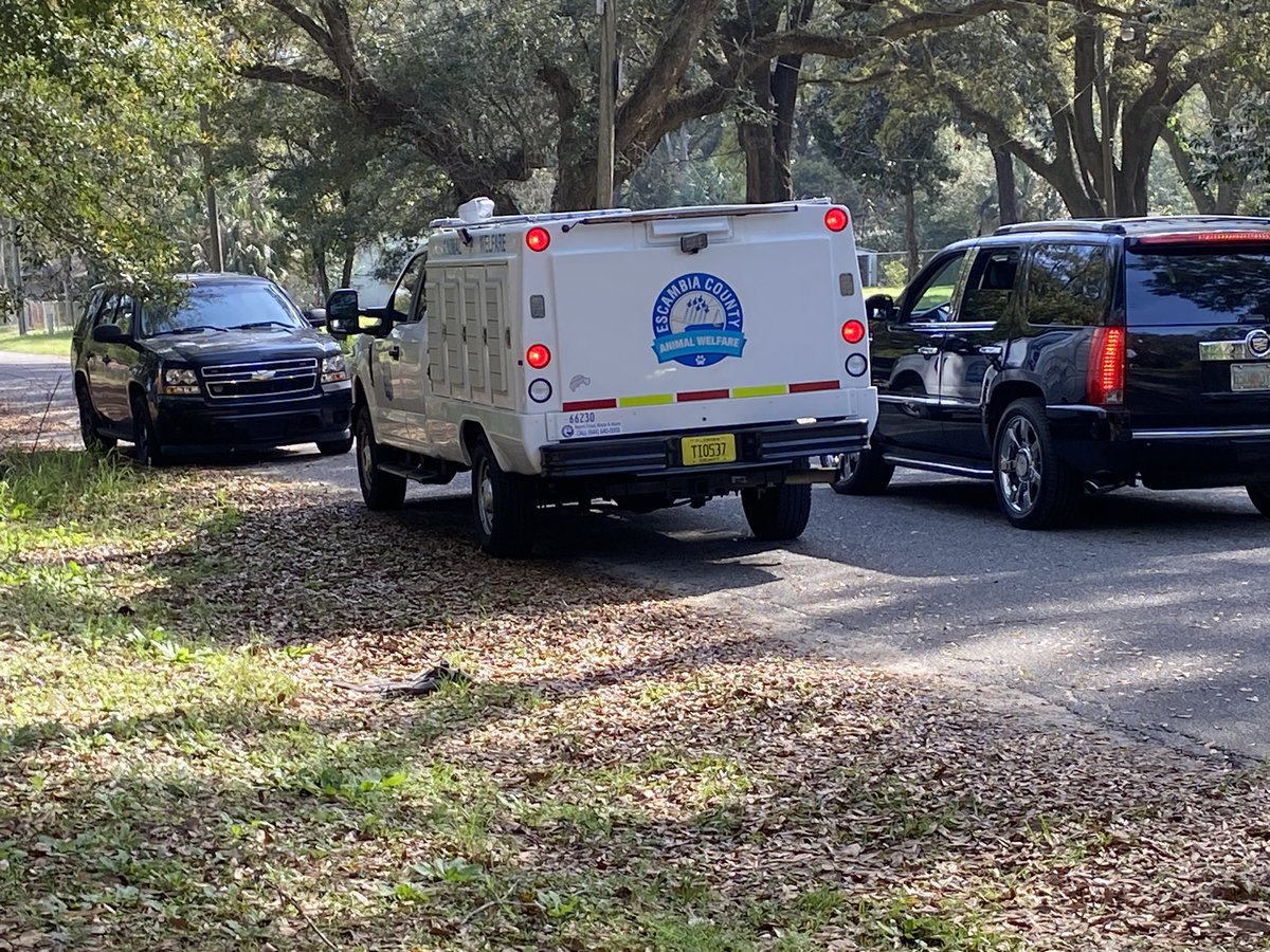 A person died last night after being attacked by 3 pit bulls. The incident happened around 10:30 in the 400 Block of Norris Ave. Escambia County sheriff deputies along with Animal Control officers are investigating