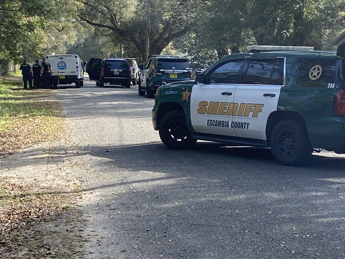 A person died last night after being attacked by 3 pit bulls. The incident happened around 10:30 in the 400 Block of Norris Ave. Escambia County sheriff deputies along with Animal Control officers are investigating 