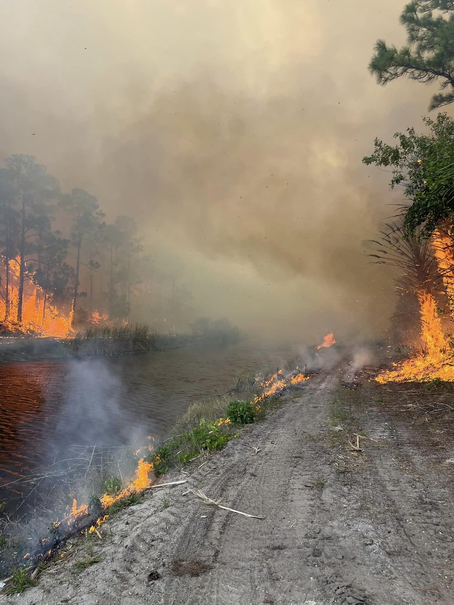 Growing brush fire near Hobe Sound