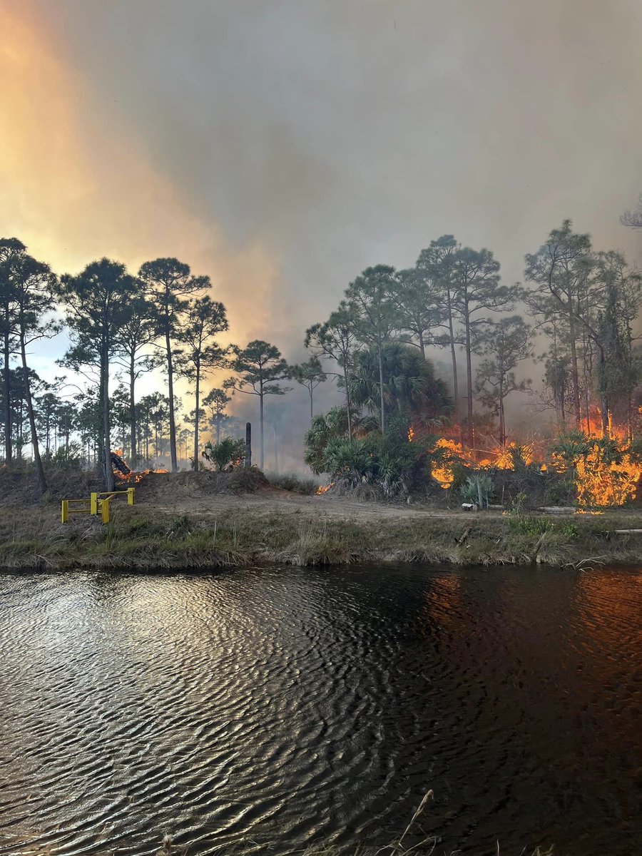 Growing brush fire near Hobe Sound