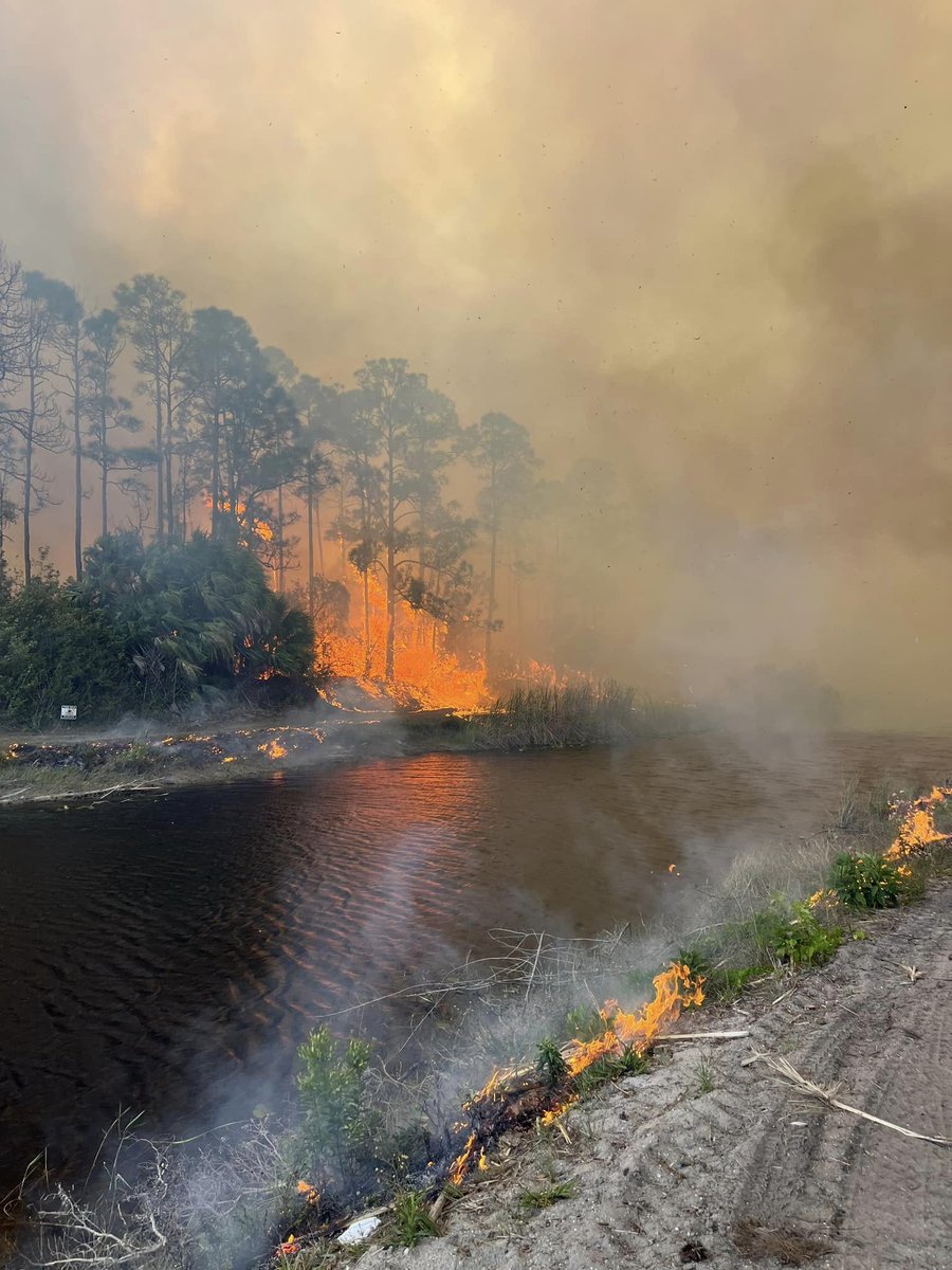 Growing brush fire near Hobe Sound