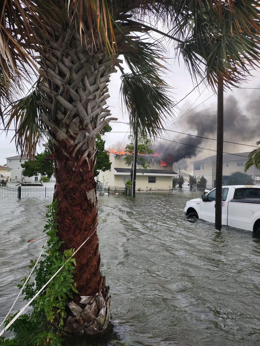 Awful situation in Hernando Beach.