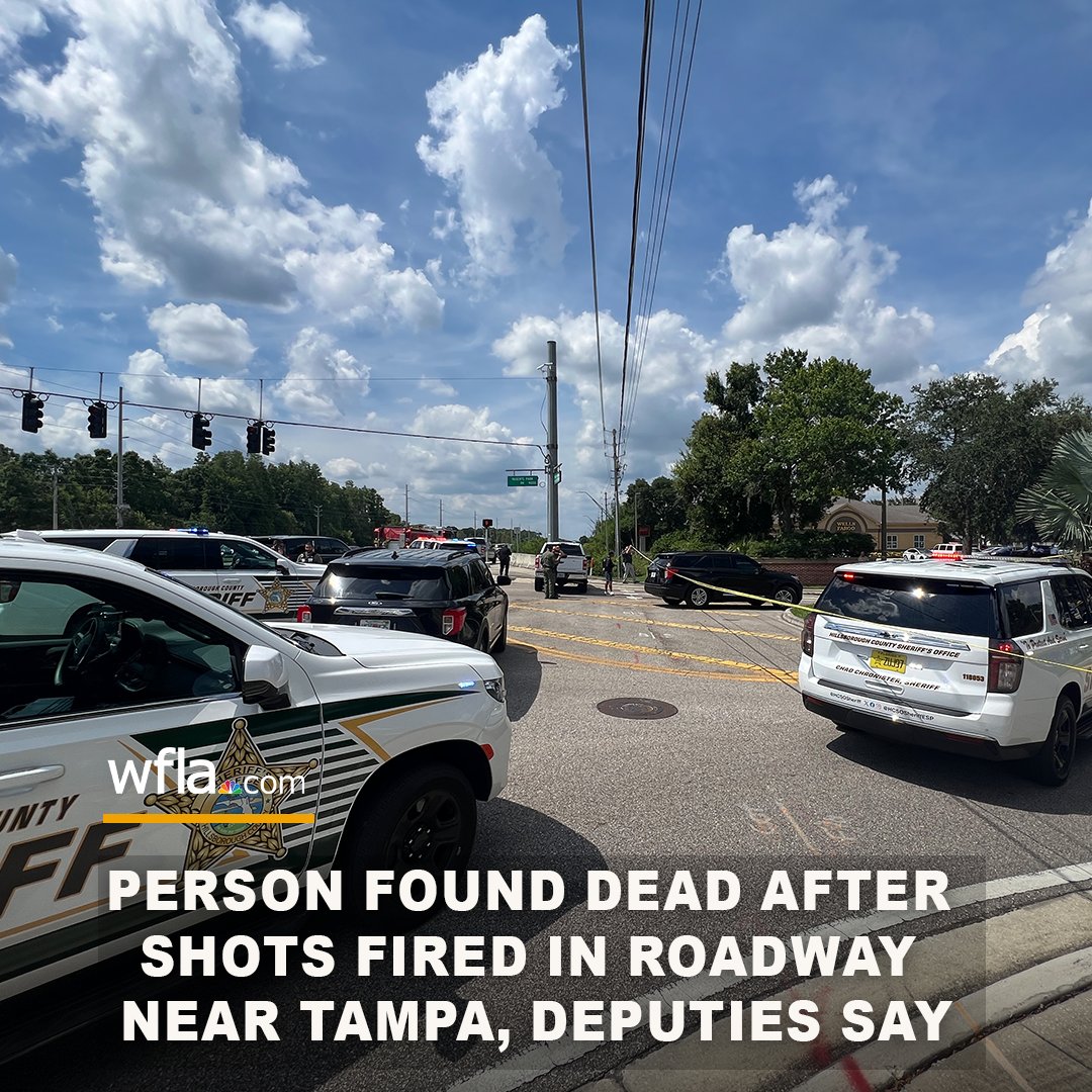A person is dead after shots were fired in the roadway at Regents Park Drive on Monday, the Hillsborough County Sheriff's Office announced.