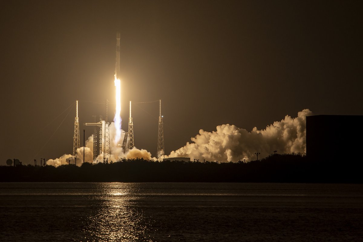 Falcon 9 launches 20 @Starlink satellites to orbit from Florida, including 13 with Direct to Cell capabilities. These satellites act as cellphone towers in space, eliminating deadzones without phone modifications or special apps