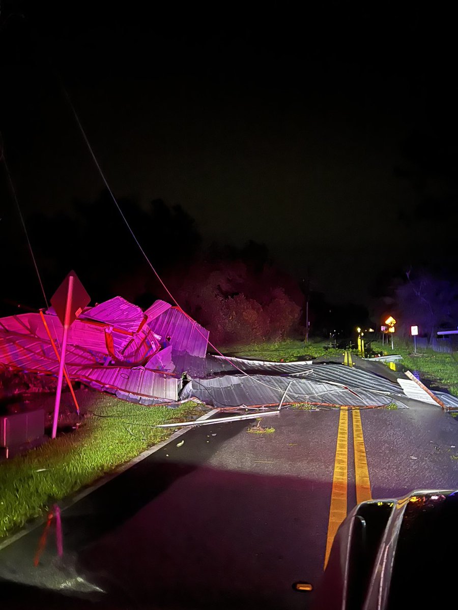 Hillsborough deputies show downed trees and flooded cars from Hurricane Milton 