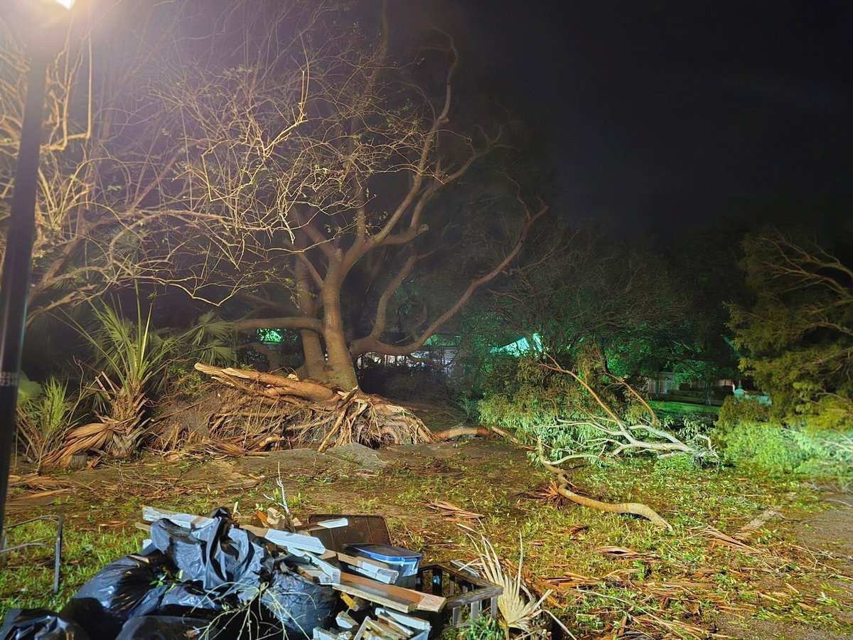 Hillsborough deputies show downed trees and flooded cars from Hurricane Milton 