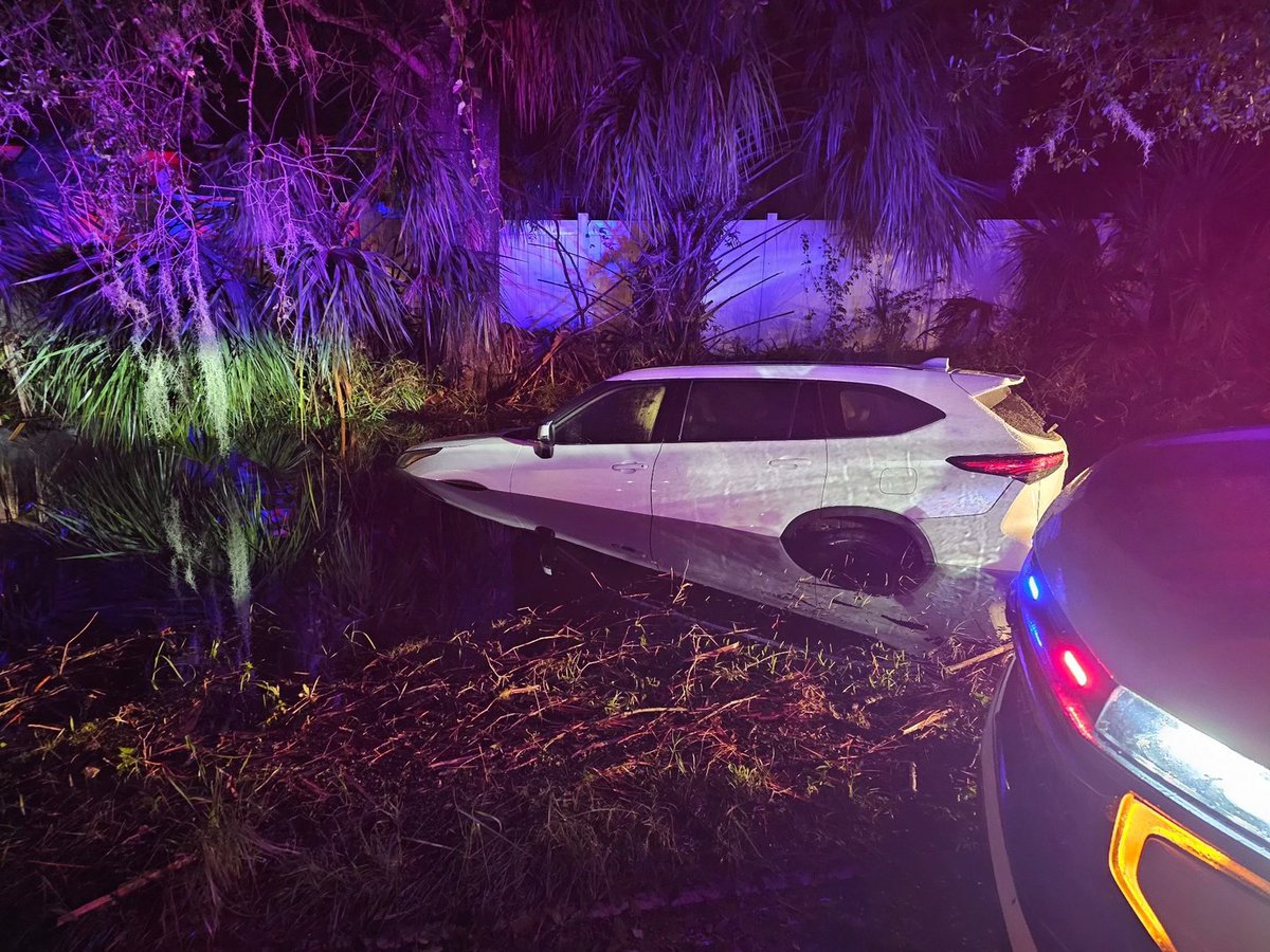 Hillsborough deputies show downed trees and flooded cars from Hurricane Milton 