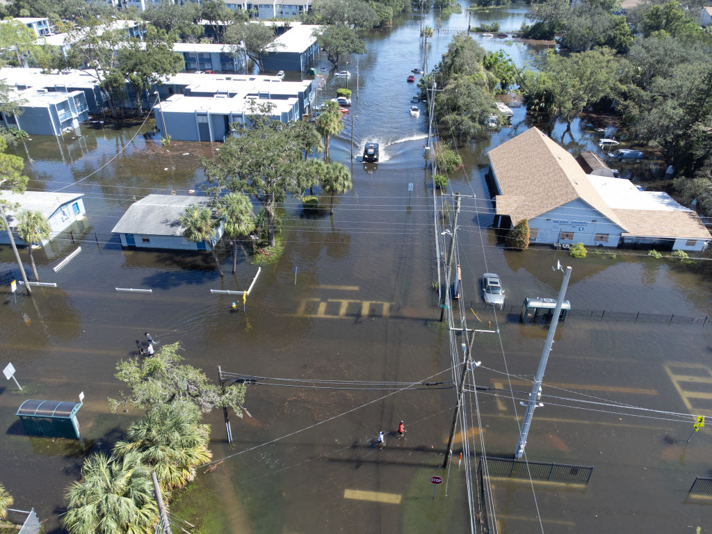 Tampa woman killed by falling branch after Hurricane Milton