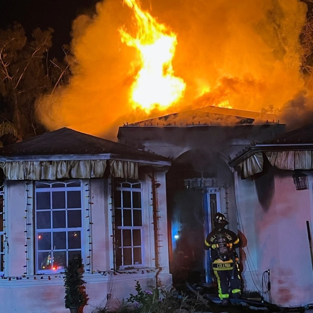 Tampa house fire traps 2 dogs inside, only 1 rescued