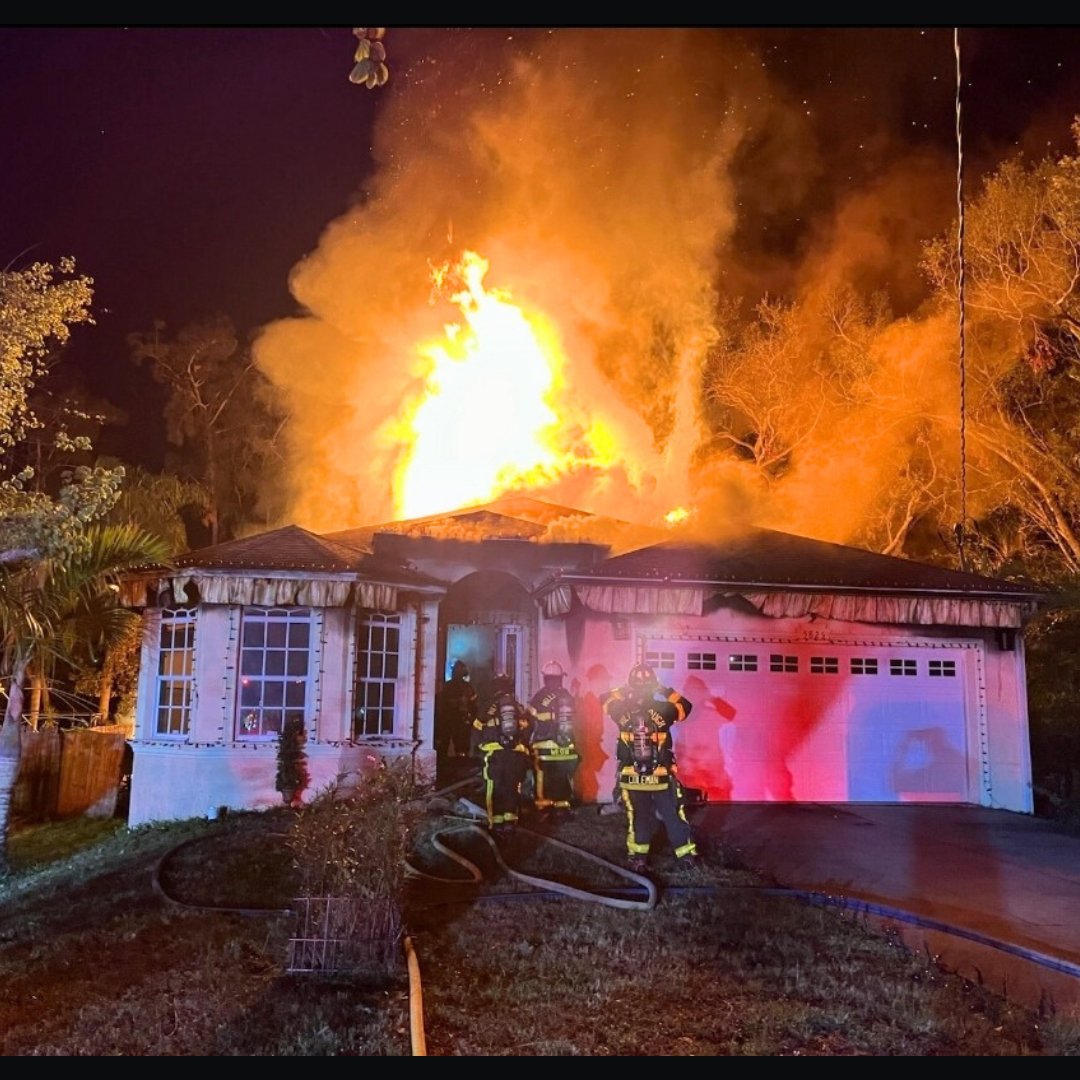 Tampa house fire traps 2 dogs inside, only 1 rescued