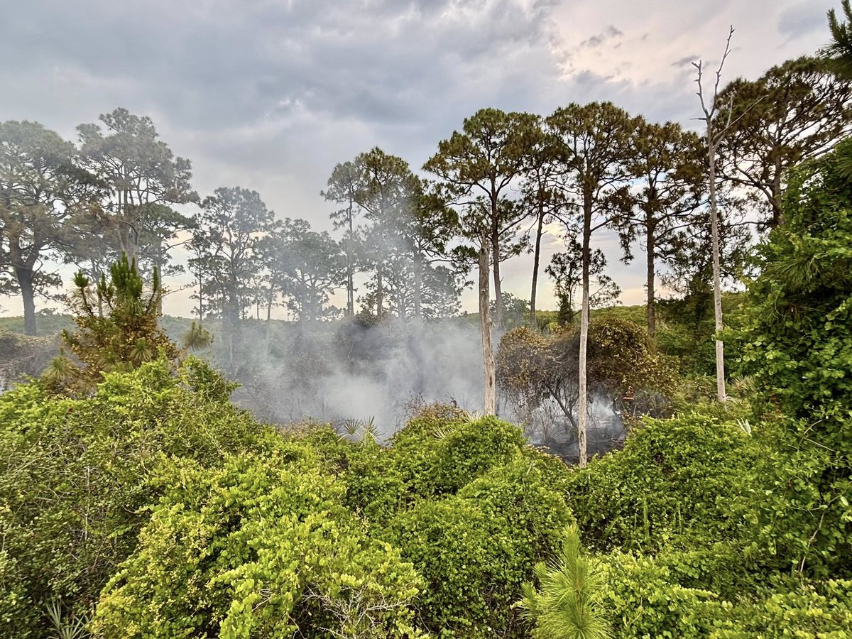 Lightning strike ignites brush fire in Port St. Lucie.