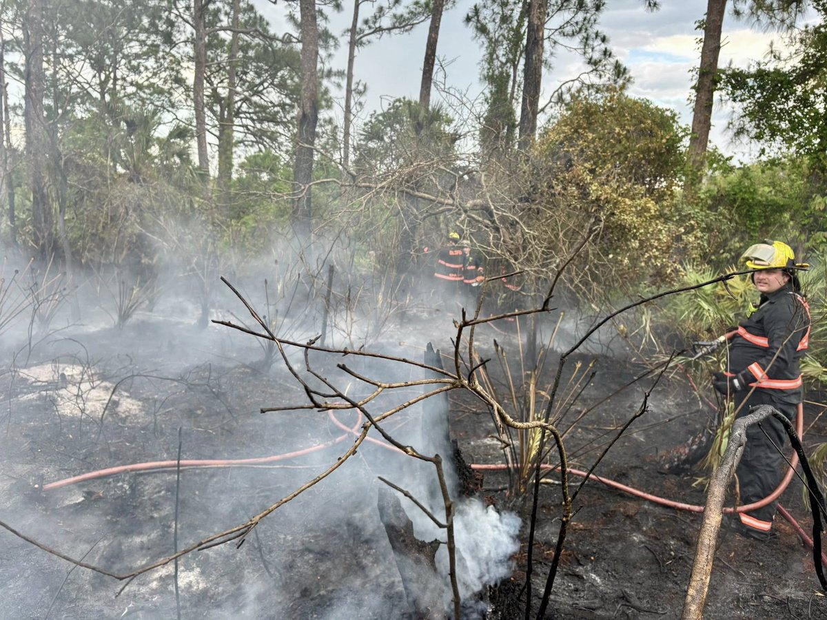 Lightning strike ignites brush fire in Port St. Lucie.