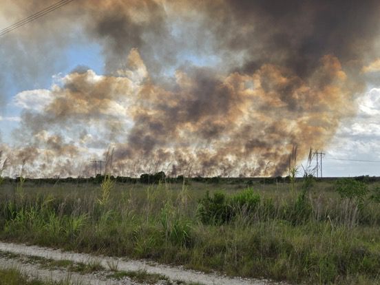 That Everglades fire has exploded Started at 200 acres this afternoon. Now over 5,000 acres burned. Thick black smoke visible for miles. Still 0% contained in Broward County. 