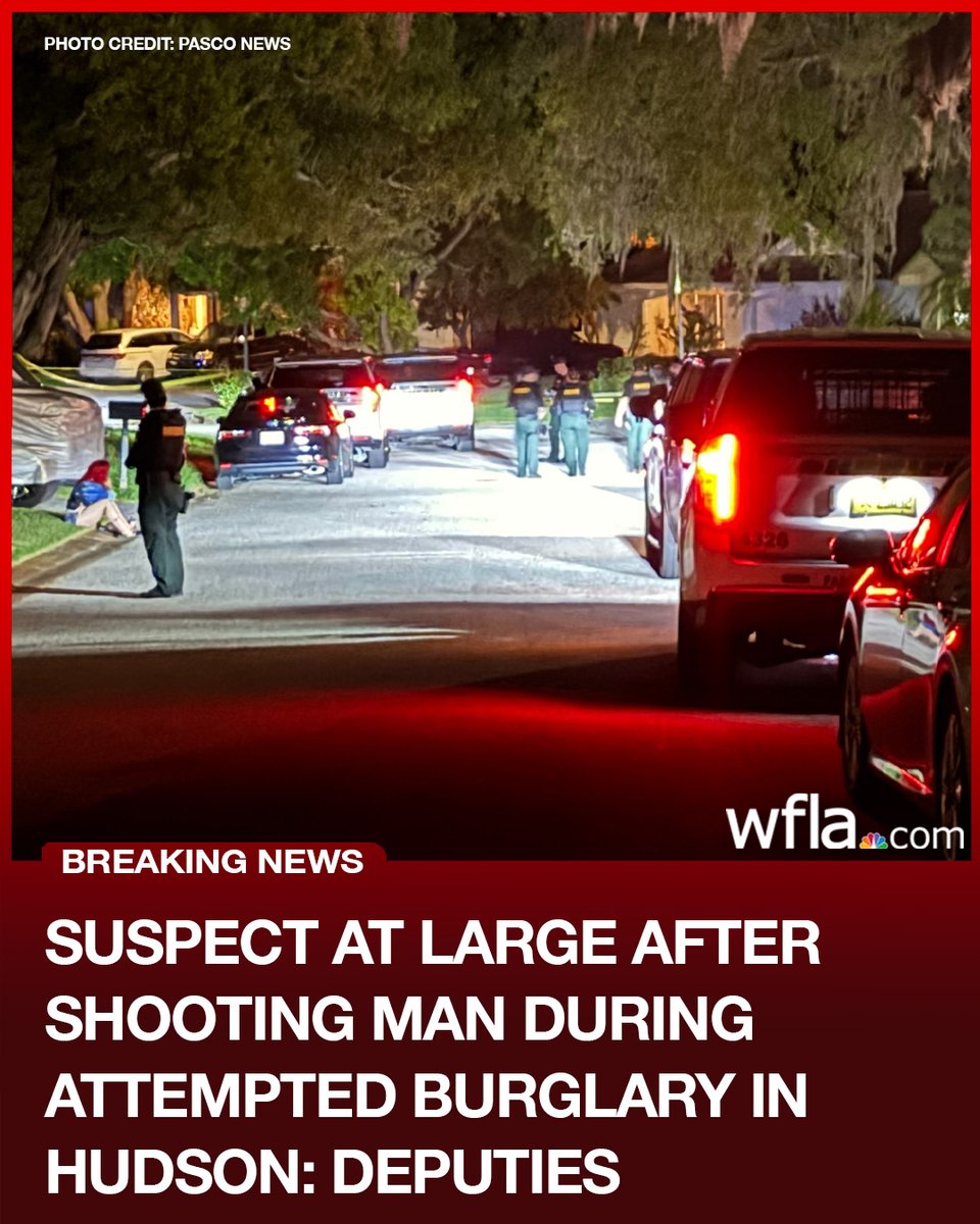 An attempted burglary at a home in Hudson Wednesday night ended with a man shot and a suspect on the run, according to deputies