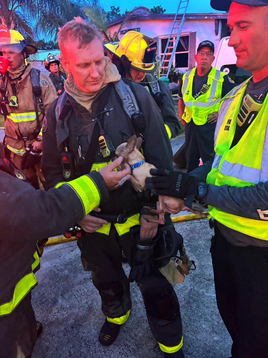 Firefighters rescued two dogs after responding to a house fire in Port St. Lucie on Friday night