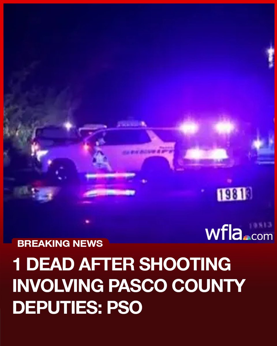 A man is dead after aiming a gun at deputies during a domestic incident in Pasco County