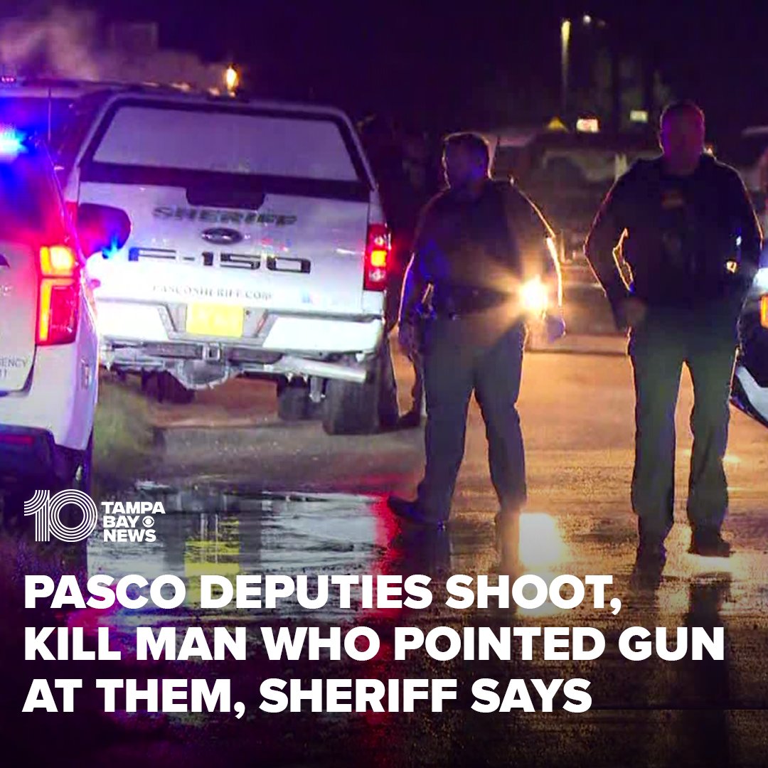 Sheriff Chris Nocco said Pasco deputies saved a woman's life when they shot and killed an armed man during a domestic violence call
