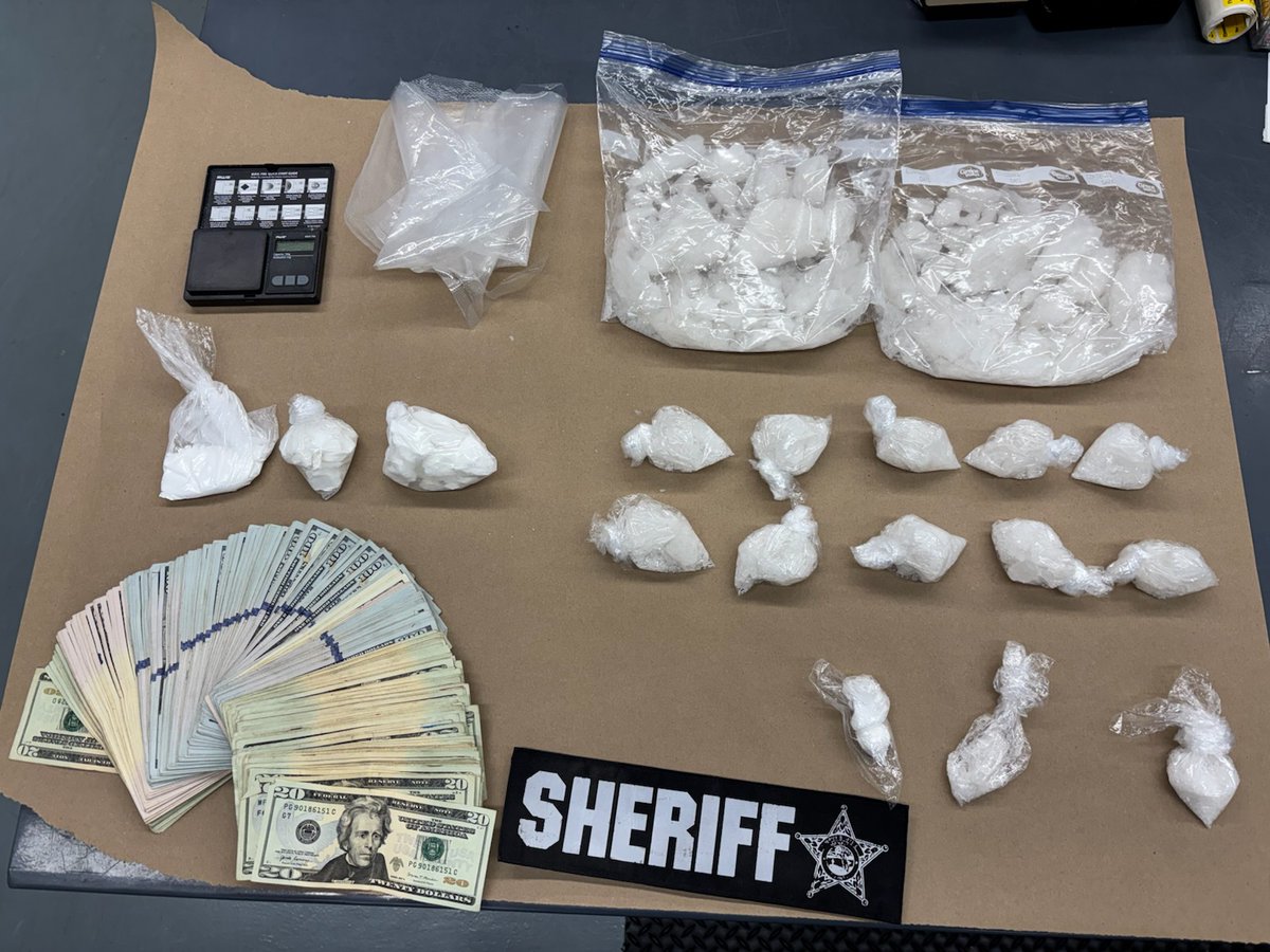 Palmetto man arrested after narcotics investigation finds trafficking amounts of drugs
